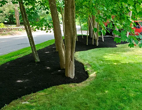 work photo from rpslandscaping.com