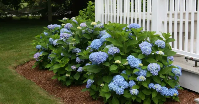 KATHLEEN M CALDARA LANDSCAPE DESIGN researched project photo