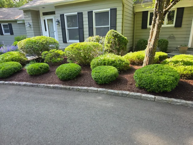 work photo from elephantearslandscaping.com