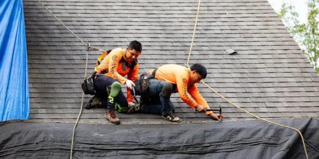 Asphalt Shingle Roofing