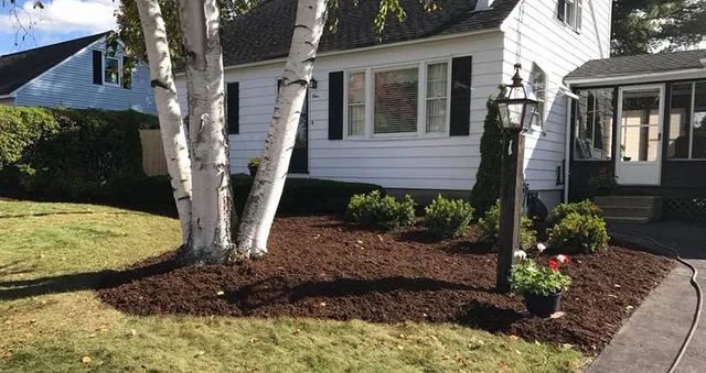 Landscaping