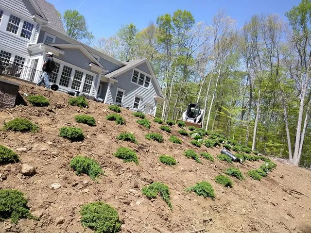 Mulching and planting