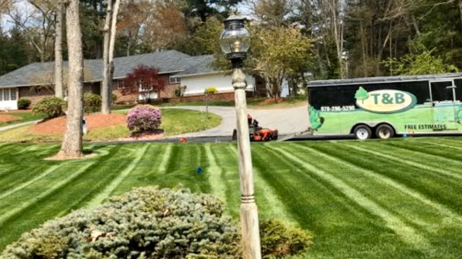 T&B Landscape and Irrigation