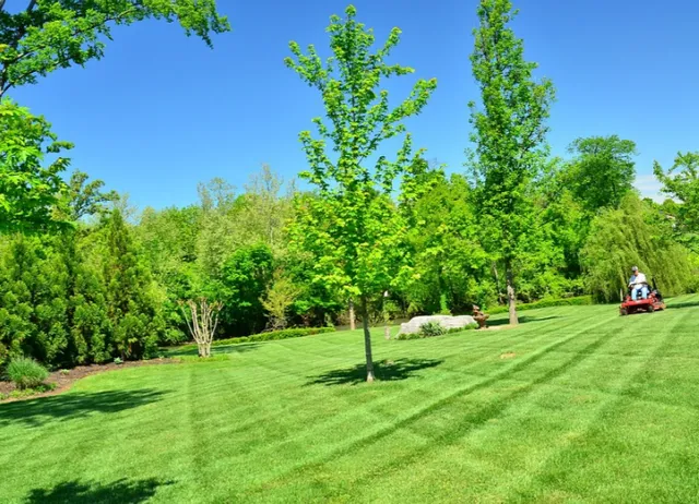 Seacoast Property Maintenance work photo