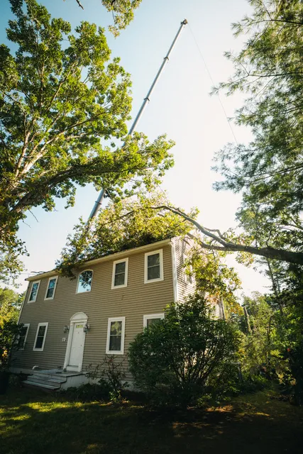 New England Tree Masters | Tree Service in Boxborough MA