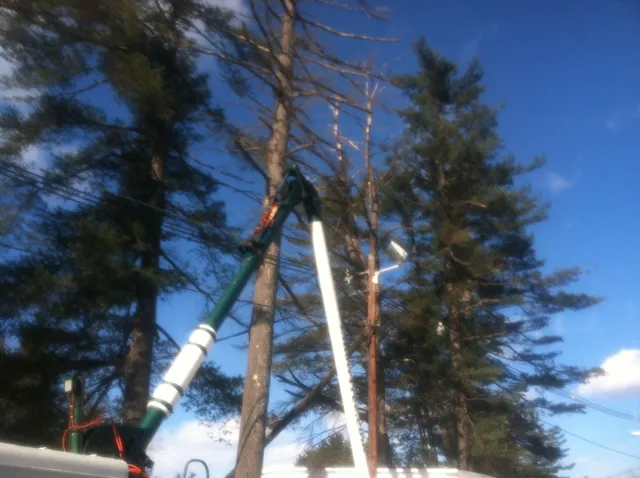 work photo from elliotttree.com