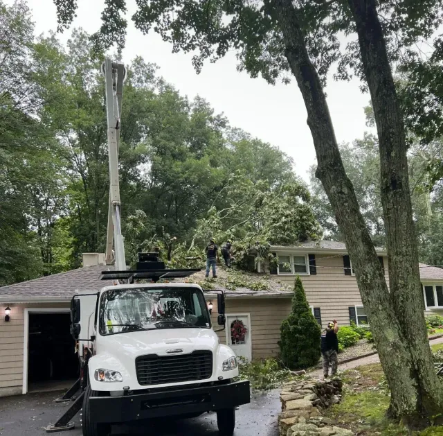 Tree service removing branches from a roof with a crane; workers and a truck visible.