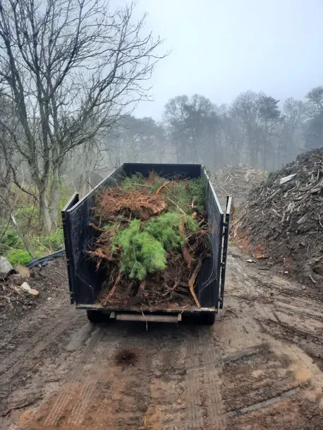 dumpster rental services