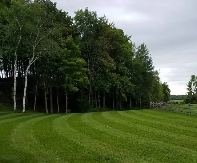LandTree Custom LLC work photo