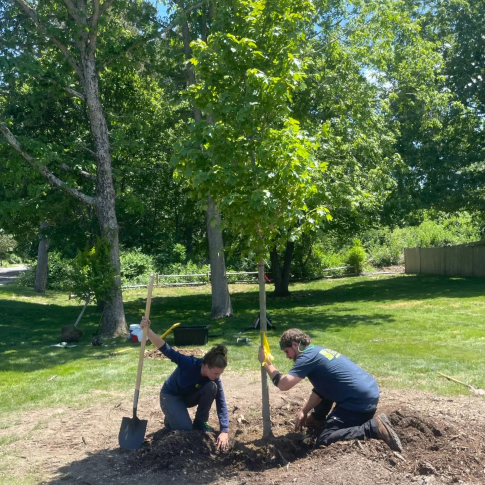 7_PlantTree-B_sq.jpg