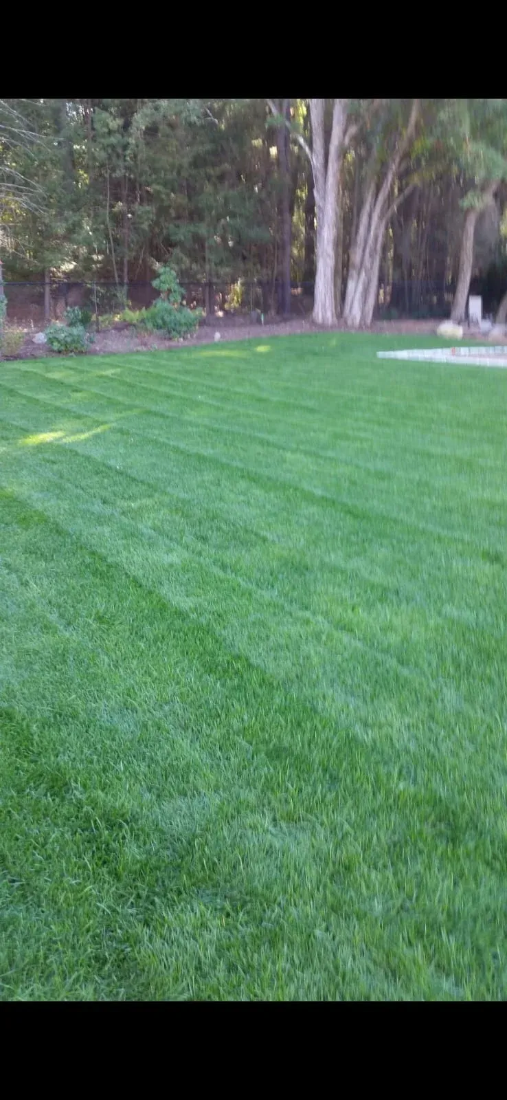 work photo from naturetouchlandscaping.com