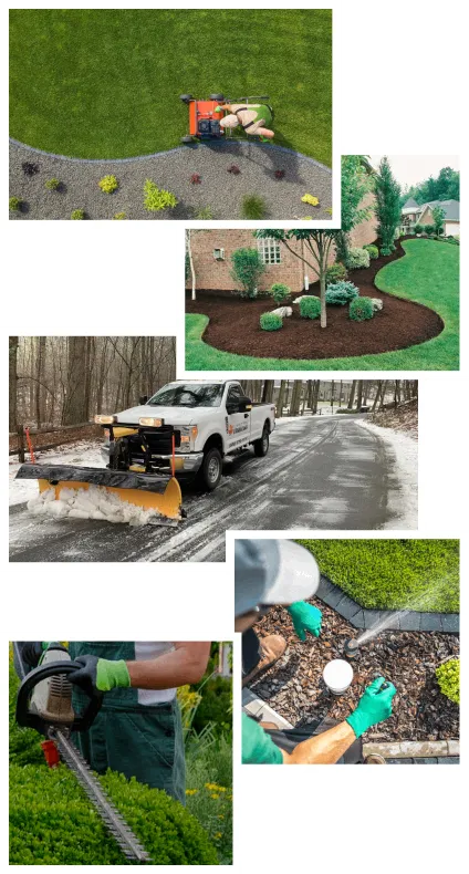 work photo from mapletreelandscape.net