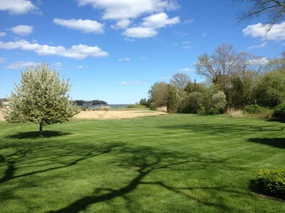 Landscape Service