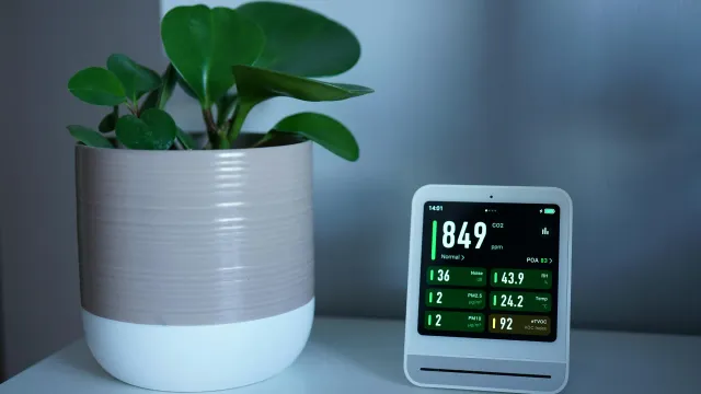 A potted plant is sitting next to a smart device on a table.