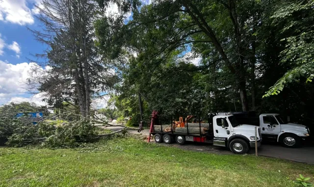 A residential area with trees and a truck loaded with fallen tree branches and logs. A fallen tree is blocking part of the road in front of the truck, and emergency or utility vehicles are nearby.