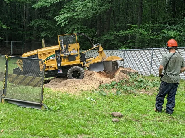 work photo from jmessinastumpgrindingnh.com