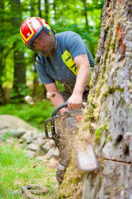 work photo from gardnertreeme.com