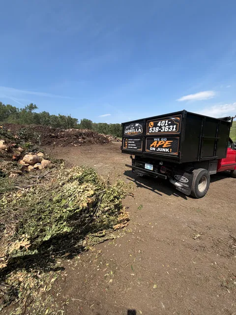 Gorilla Guys Junk Removal work photo