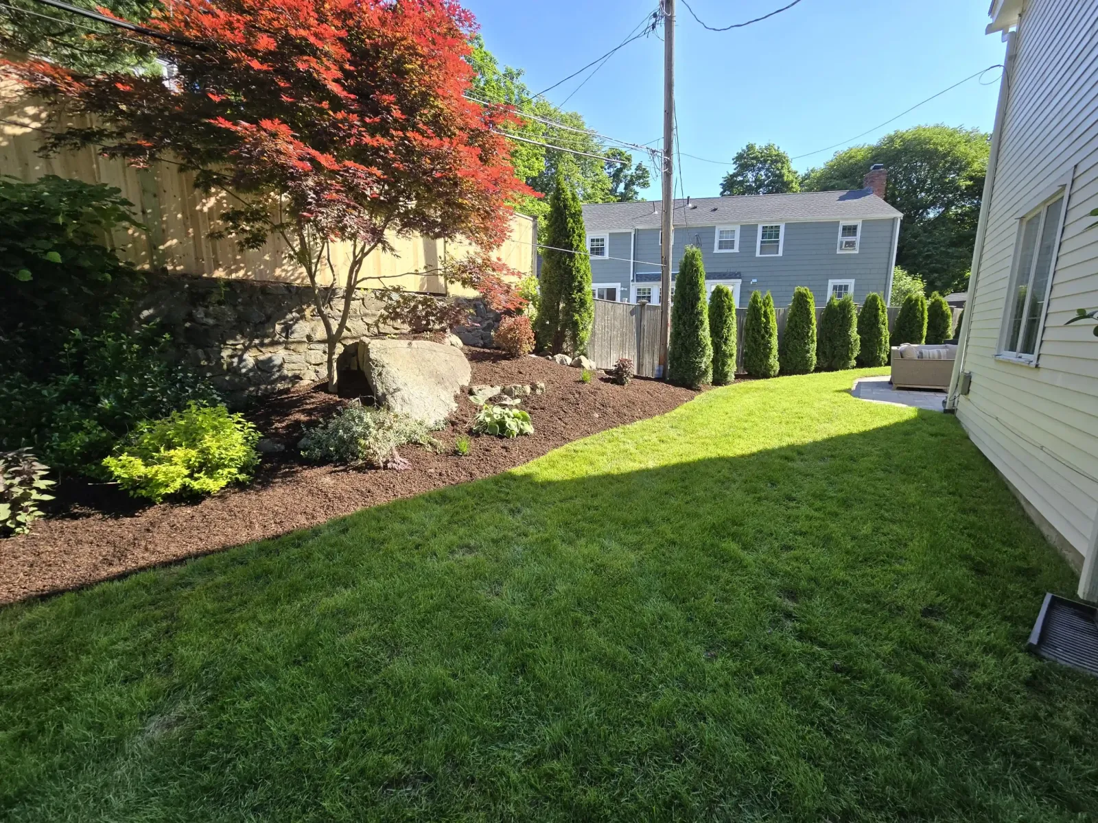 Sunny side yard with bright grass and dark mulch beds, red Japanese maple shading boulders and slim evergreens along the fence