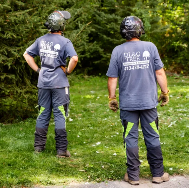 work photo from dlandgtree.com