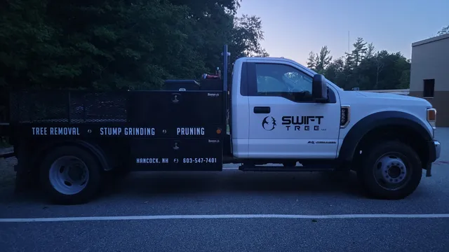 Swift Tree LLC work photo