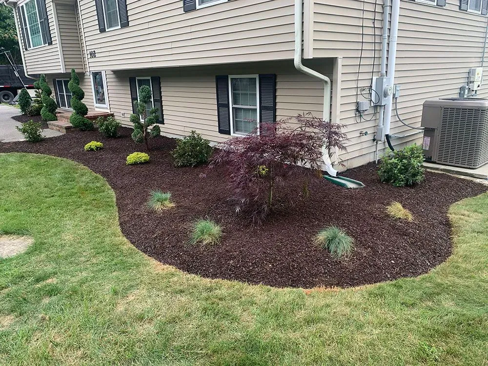House with mini side garden.