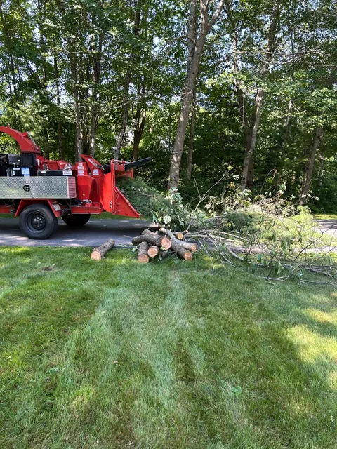Morales Landscaping & Tree Trimming work photo