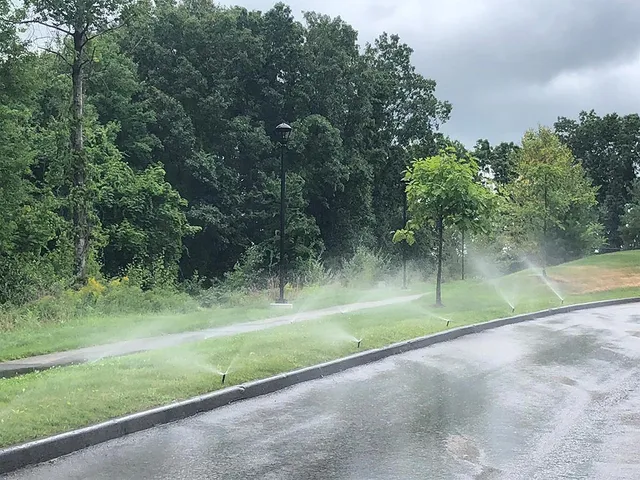 Pro Irrigation Inc work photo