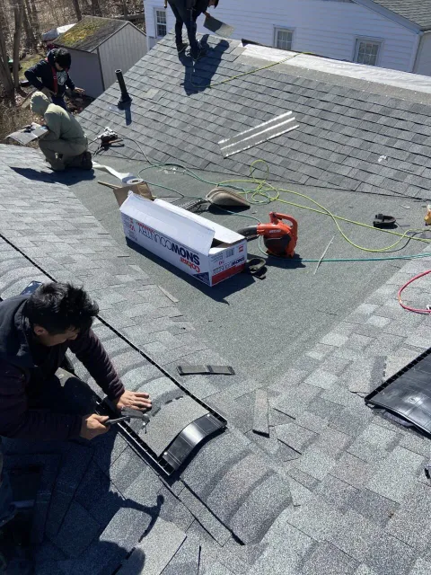 Shingles Roofing