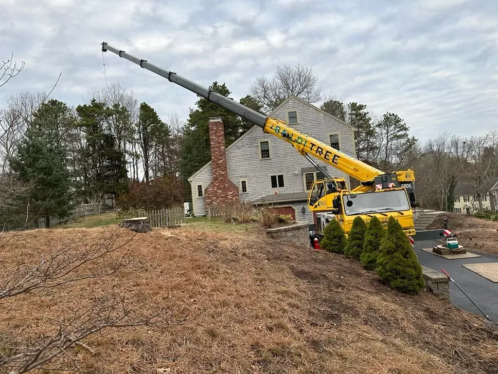 Crane Service