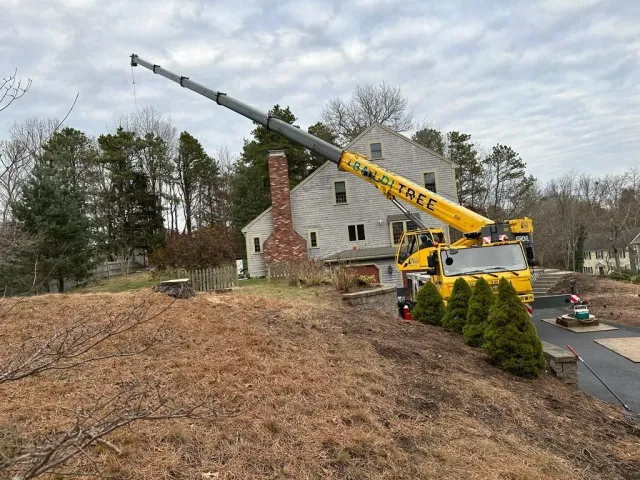 Crane Service