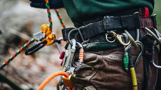 Close-up of professional arborist safety harness and climbing equipment showing TCIA-certified tree care specialist gear used by Rayzor's Edge Tree Service.
