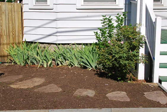 Seth Berman Gardeners researched project photo
