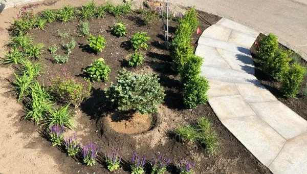 work photo from miguellopezlandscaping.com