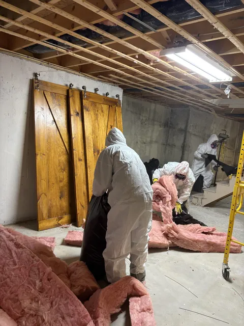 work photo from householdenvironmental.com
