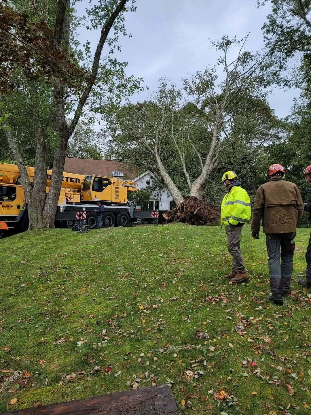 Workers and a crane truck clearing fallen tree debris in a grassy area by a wooded roadside