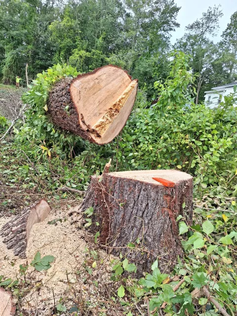 work photo from estebans-landscaping.com