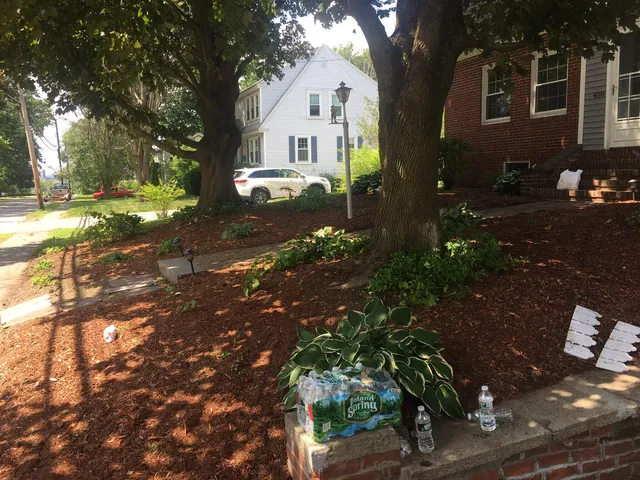 work photo from vocrlandscaping.com
