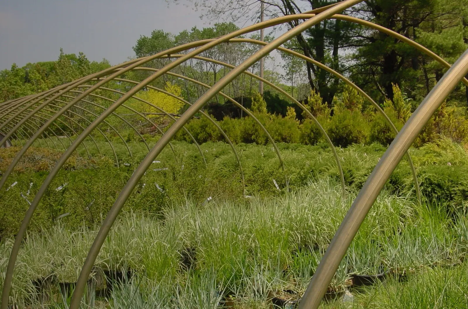 plant material.jpg