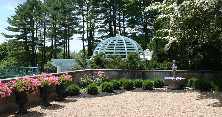 Landscape Maintenance