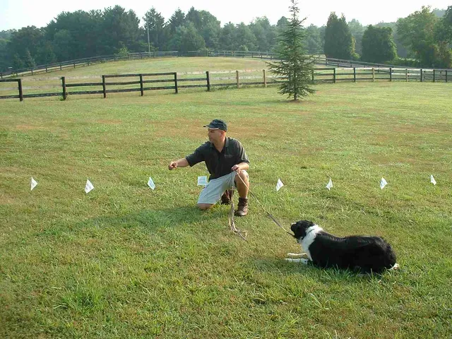 E-Fence Pros work photo