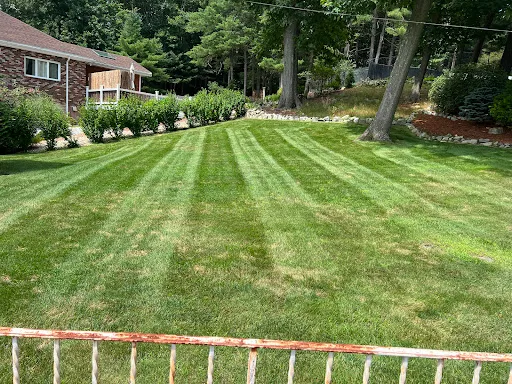 Review photo by Antonio’s landscaping