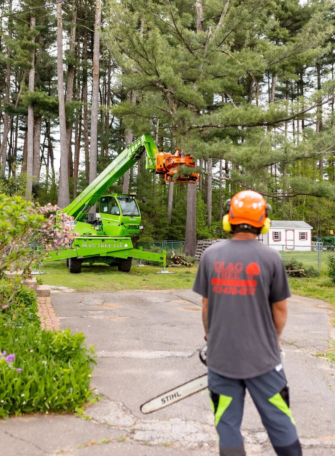 work photo from dlandgtree.com