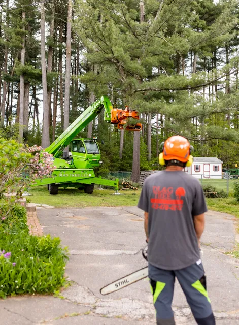 work photo from dlandgtree.com