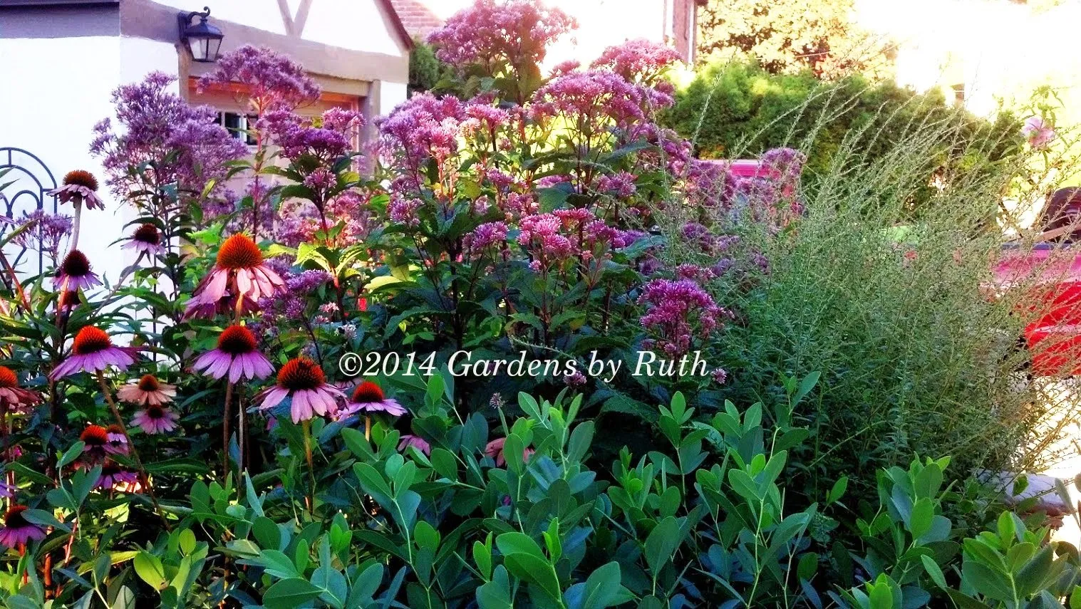 Gardens by Ruth