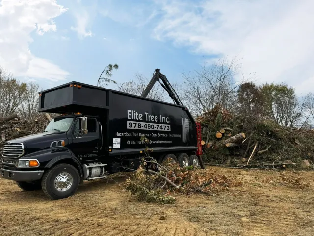 work photo from elitetreema.com