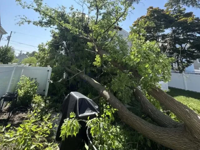 Commercial Roof Storm Damage