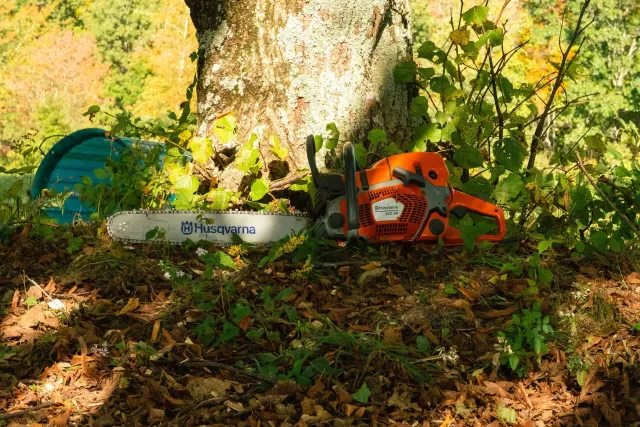work photo from brtreeservicema.com
