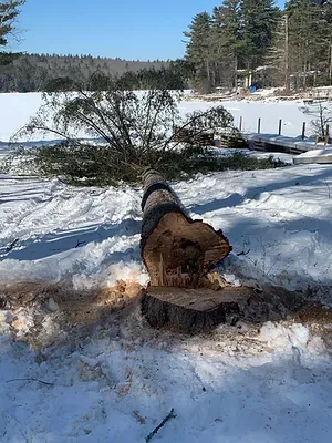 Suncook Valley Tree Services researched project photo