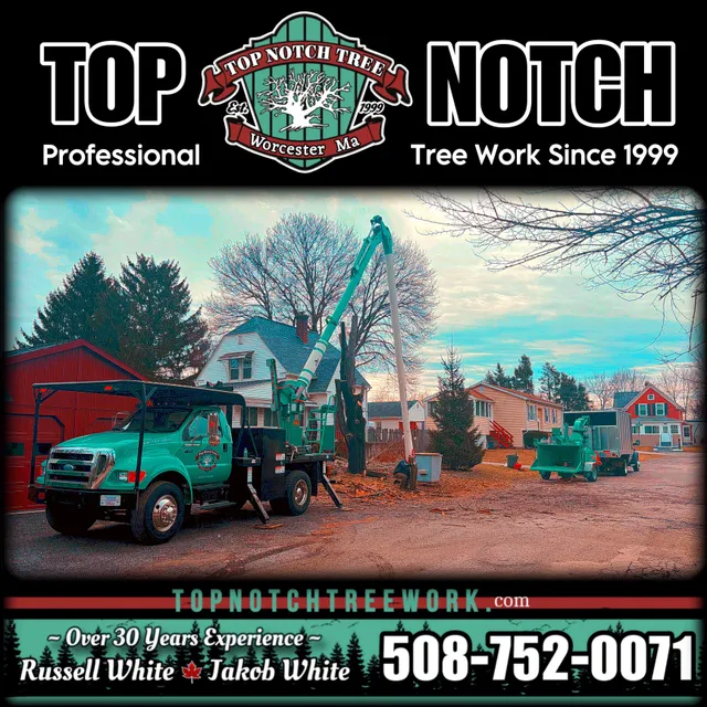 Top Notch Tree Service work photo